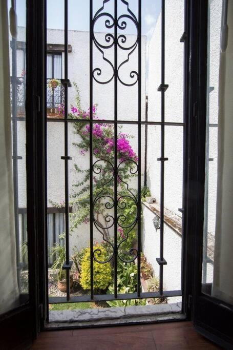 Villa Casa Ayvar. Espectacular Villa Colonial En El Corazon De Coyoacan. Città del Messico Esterno foto